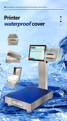 Escala inteligente totalmente impermeable de acero inoxidable 304 con pantalla LCD Modelo de batería de 30 kg