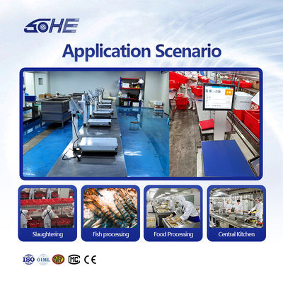 Acero inoxidable SOHE 60KG 400*500mm Balanza inteligente para el sacrificio y corte de carne