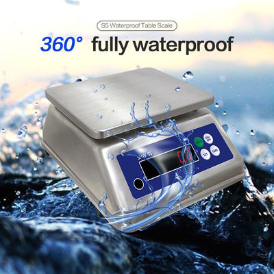 Escala de acero inoxidable de 6 kg de peso máximo con doble pantalla e IP68 de resistencia al agua
