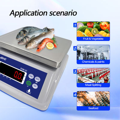 8V/1A de alimentación de la escala impermeable con pantalla doble y sensor de precisión
