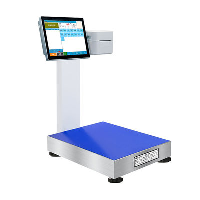 Sistema de escala de PC de pantalla táctil de 12 pulgadas con inteligencia artificial y puerto USB / servidor