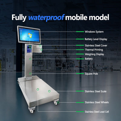 Escala industrial de 400*500 mm con capacidad de peso de 200 kg y plataforma de acero inoxidable